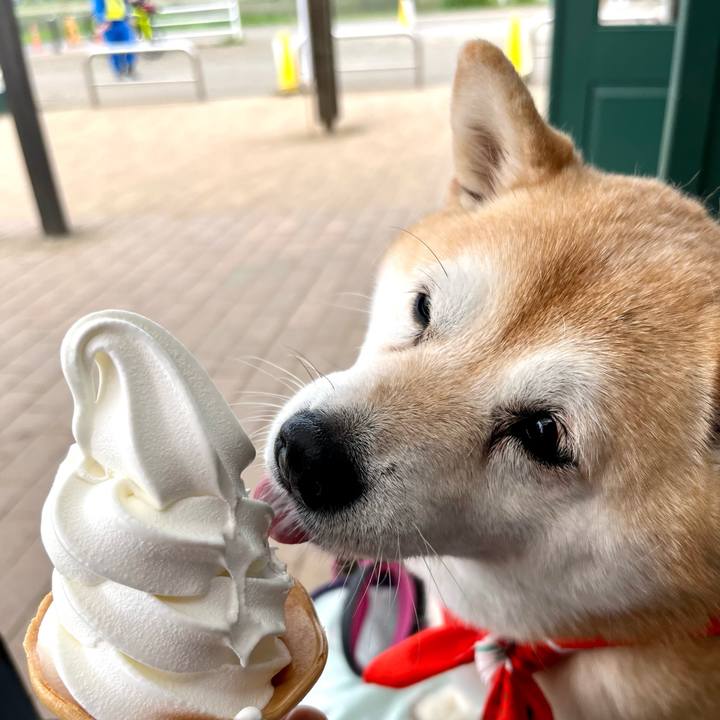 28680873 7f9e 4bb8 bbc1 824782b4062c 1681904388122