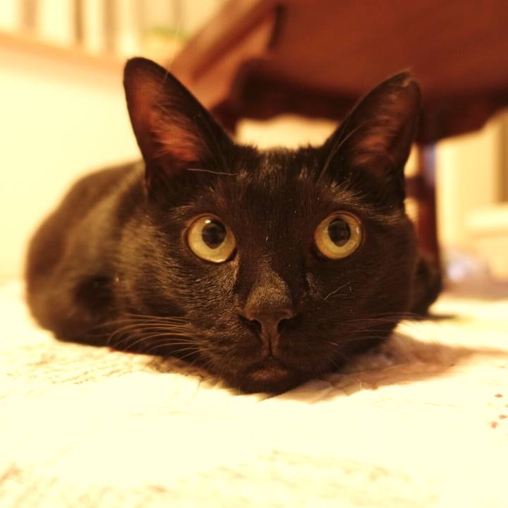 286825ad 87cf 469a ae8a f35b09124343 1541074996070