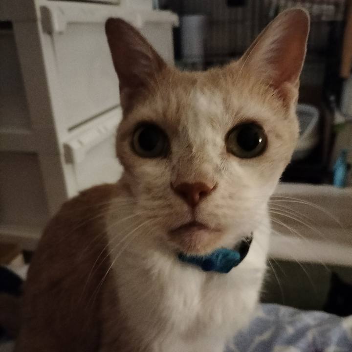 286832b0 6c1b 447e 85cf aa33575c10e2 1662984193879