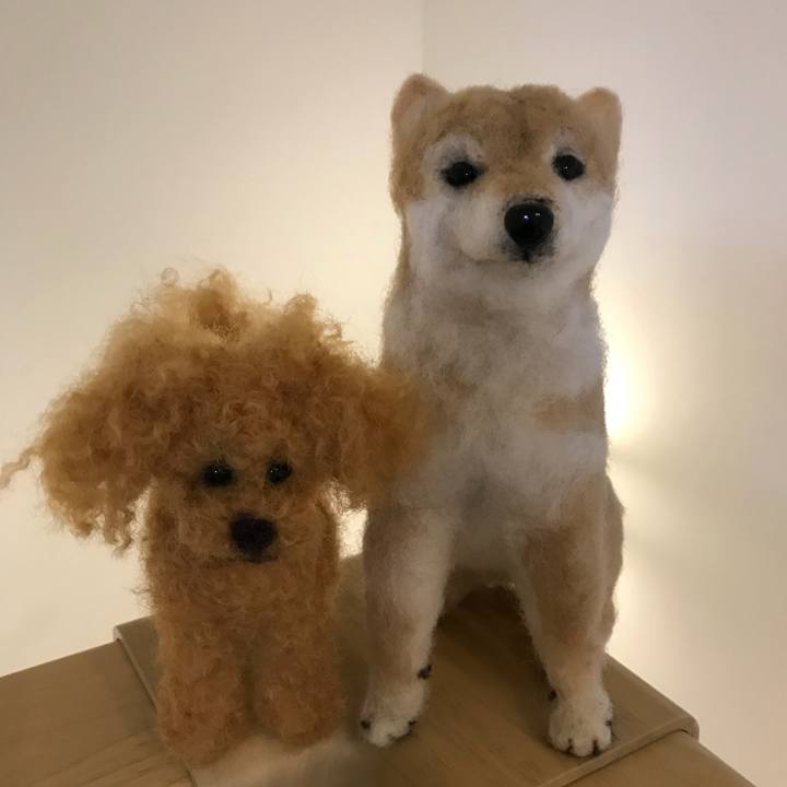 28686510 9dbc 40a2 8d31 4080daeeb89f 1521621122482