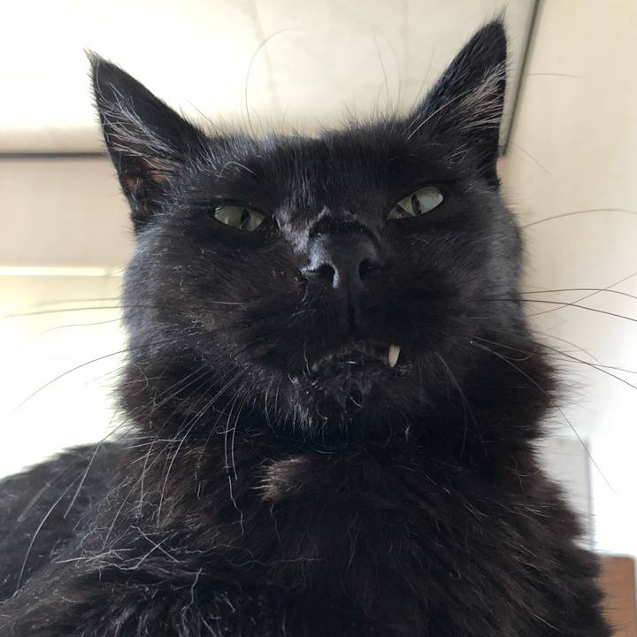 2868b6f1 6fba 48d6 9d01 a0b875304b1d 1628403003182