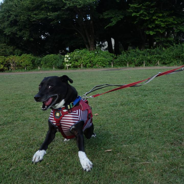 2868cae4 33a8 41a2 bbe9 4a6d969580a1 1689897730472