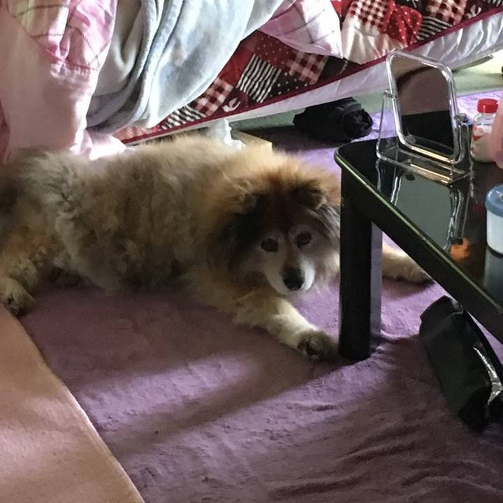 2868e5b6 66ea 49b5 8a6e a860e40418a4 1596432794764