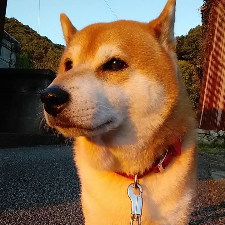 2868f80f f5df 4ce2 a012 dd5d6d5835d0 1635326795371