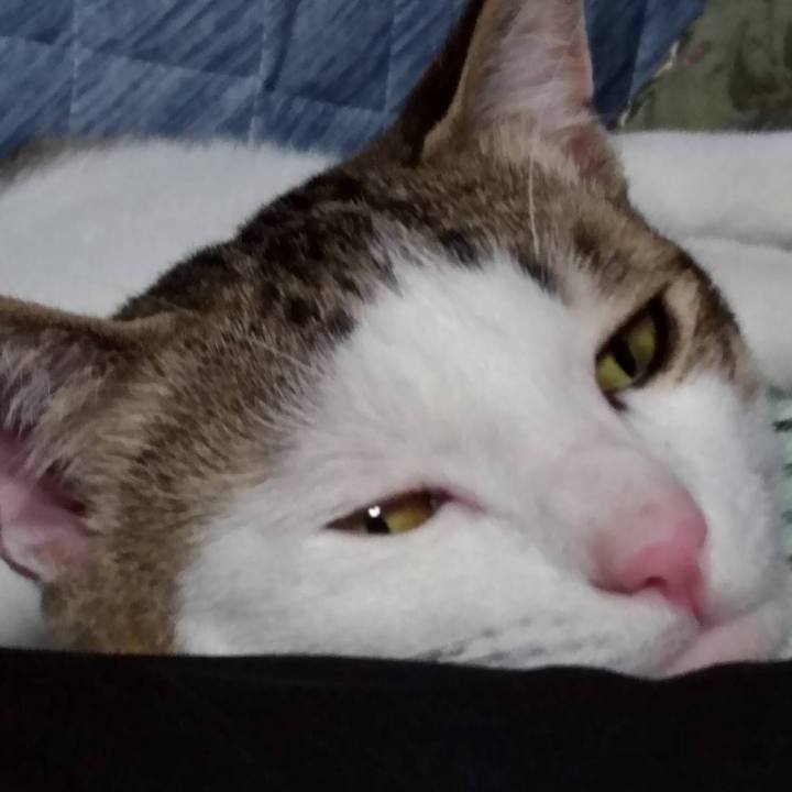 2869182b be2e 4908 9b72 37a692abbe10 1656728936984