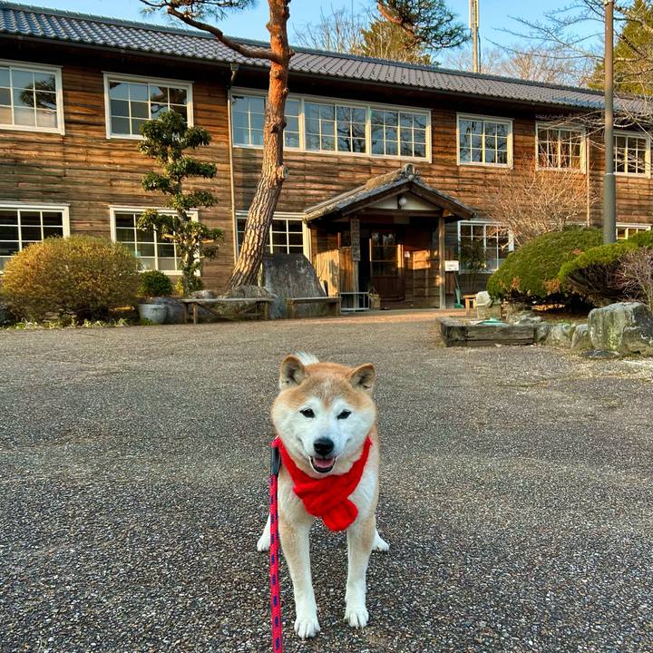 2869591a 5d26 402c 9aab 8dc964b05c89 1742554805374