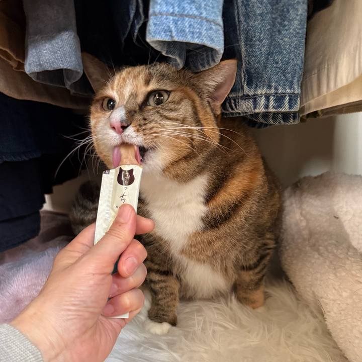 28698905 d20c 4b42 96db f32507ce4220 1768709581687