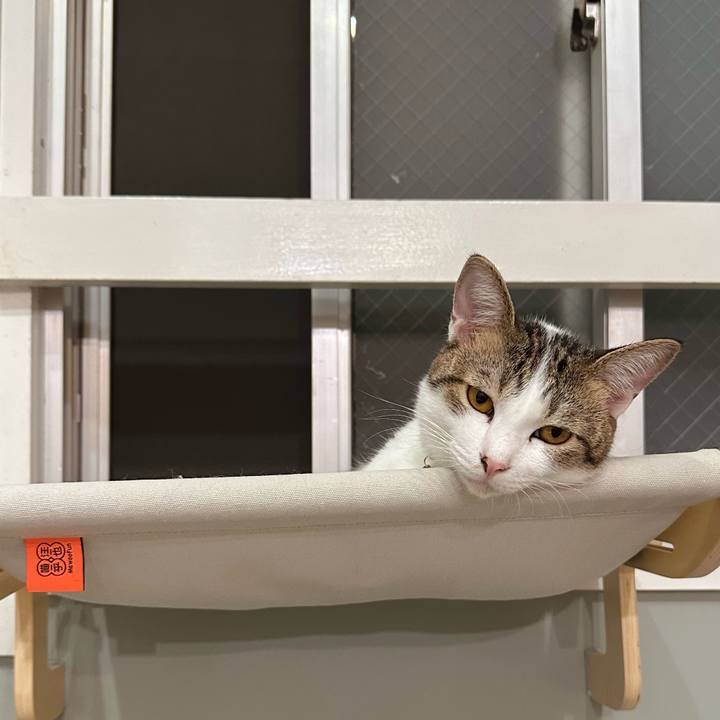 2869b449 0924 4df0 8d75 c36f9b7189dd 1757679601376