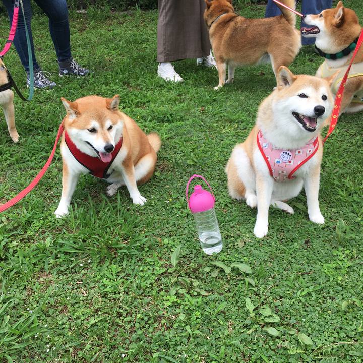 2869b525 bf1f 42c2 a97c 398e309e26e0 1625965761639