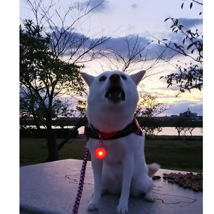 2869be95 f000 4cc3 baaa c95ca3a70909 1572857976885