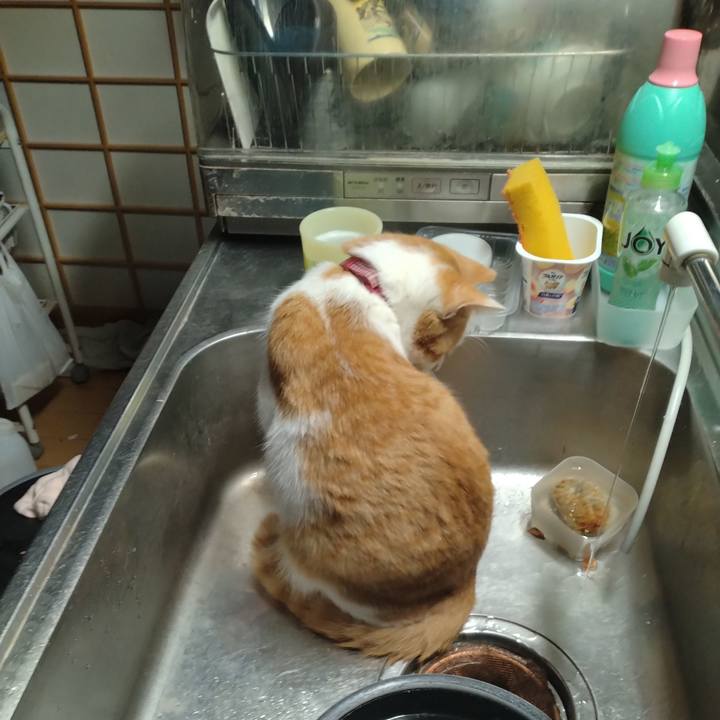 2869cb07 6c70 4262 8d61 21855a941677 1743972171410