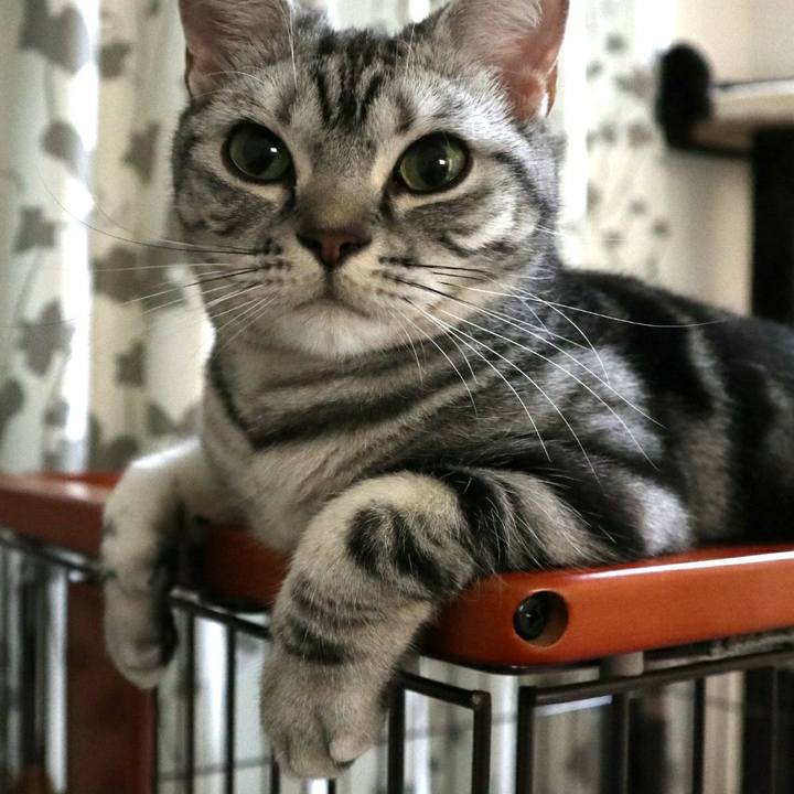 2869d69a 46ce 4809 bb38 432977e387b0 1585821472364