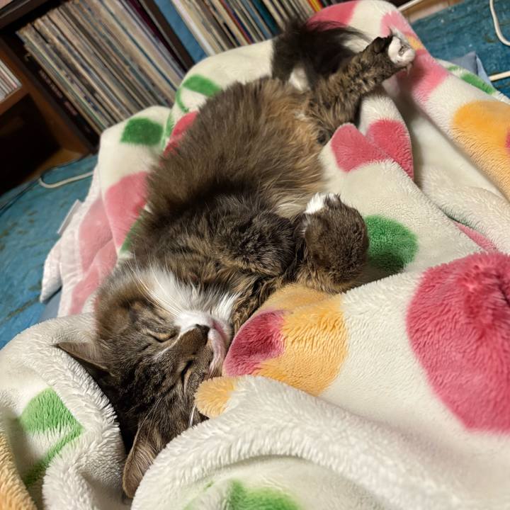 286a0c37 56b1 410c aec7 1f158e6d47c4 1765182902083