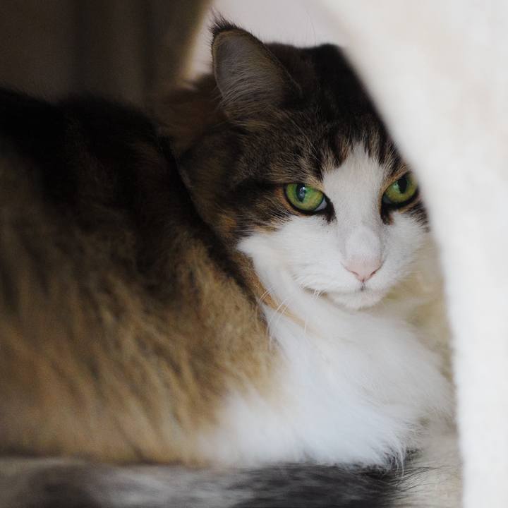 286a4860 5993 4d65 8572 66d129e683dd 1720776845787