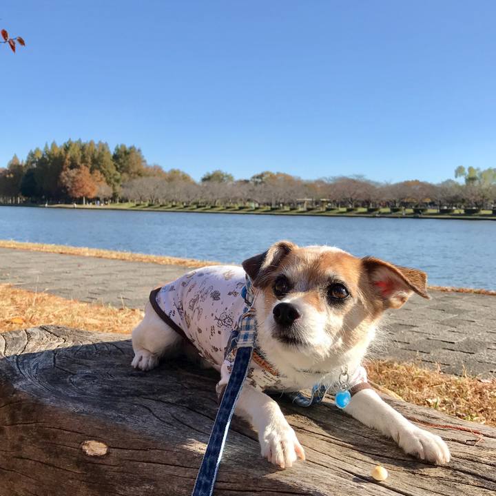 286a50f3 1a99 4d70 bf08 1e6bbff665f7 1606095022560