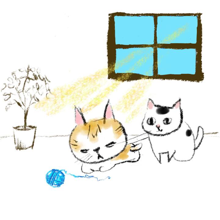 286a58fe 73d2 4628 96e8 0152bb3b0fa0 1687099738694