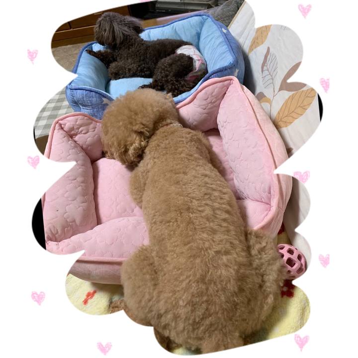 286a5aec 458c 44a1 bd66 bd1a9c9431af 1568203382142