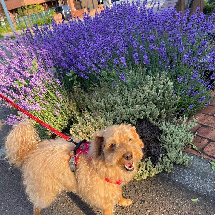 286a61e1 74b4 4944 8da6 5549c1a437bf 1657146049866