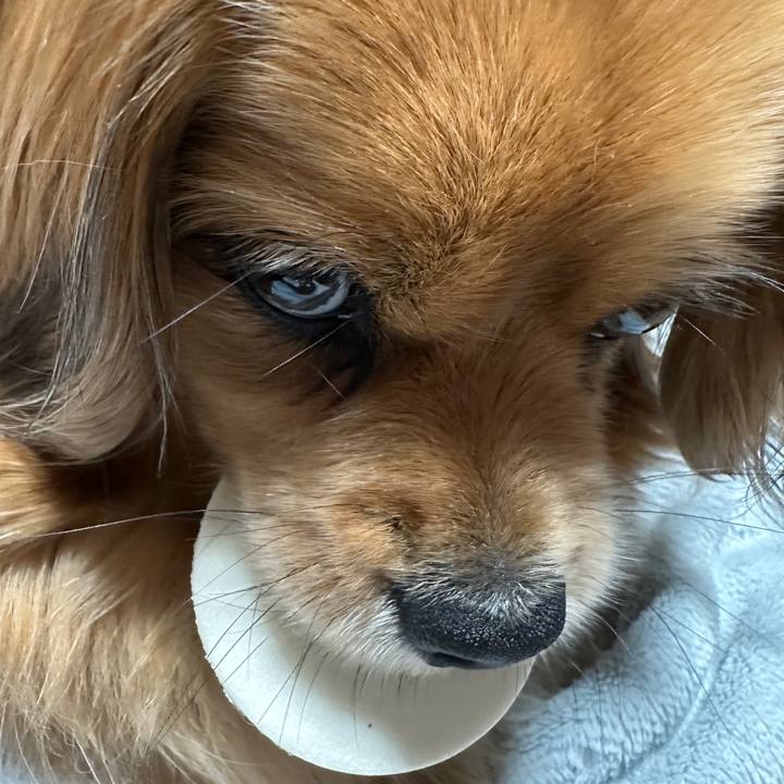 286a6653 ee5a 4051 8e0c 1c66a4c865d1 1684271914062