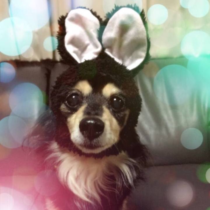 286aa064 65d9 4236 9e86 b8d4393e0f0e 1568331632434