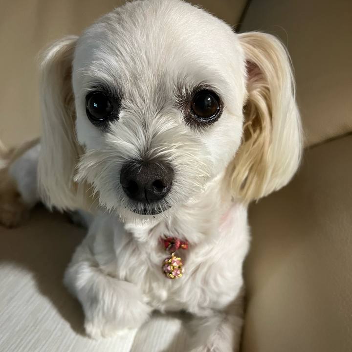 286aebdf 4e98 4289 9d56 a2327117b161 1695121061303