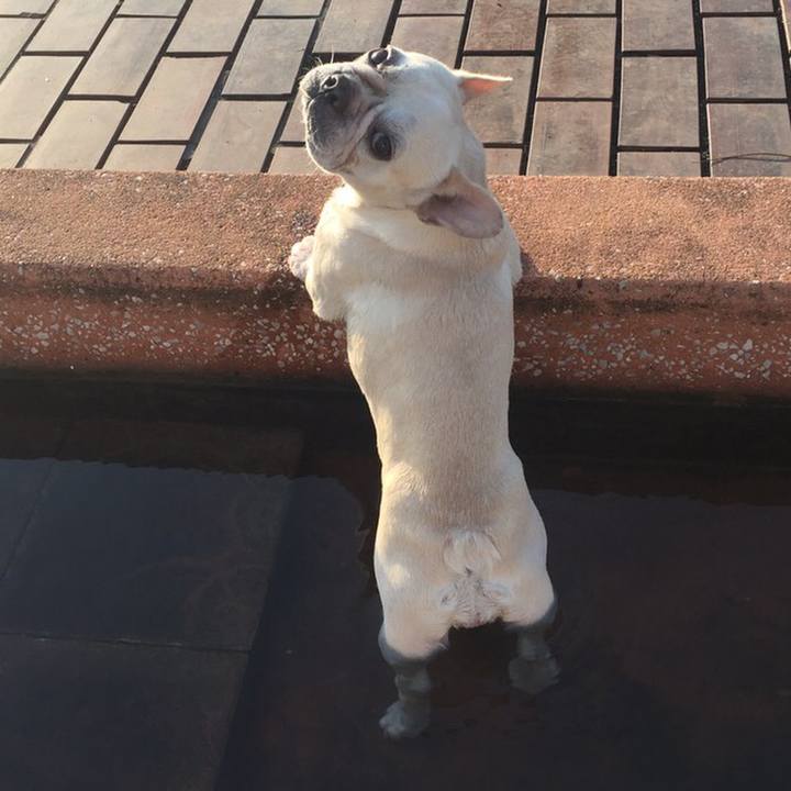 286b4fea 95da 4816 8283 0f4ffbf04ecc 1550696124671