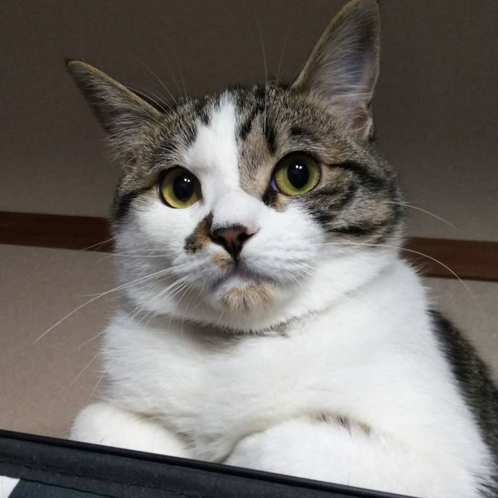 286b6ba1 4ada 43c2 9428 d27fec575c51 1619386724330