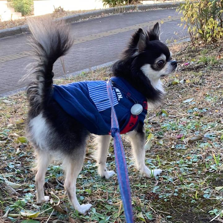 286b8ae5 90eb 4f2a b5e8 0d0a49c451ee 1703846940614