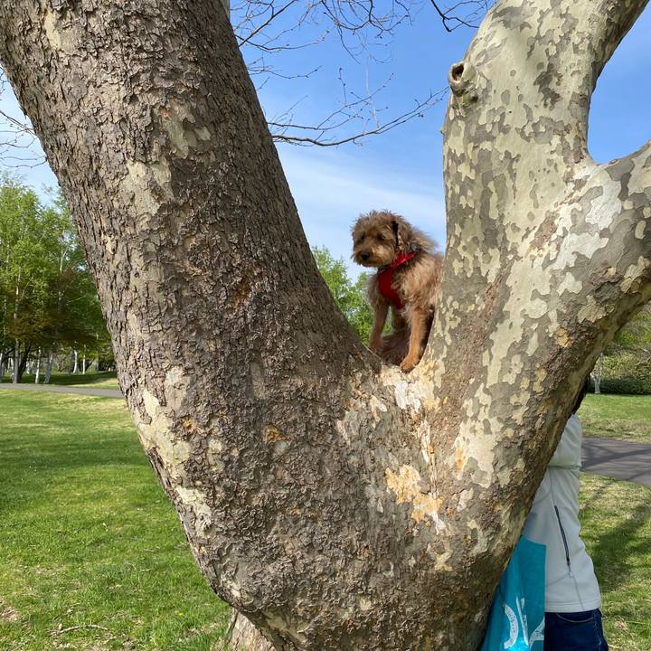 286bb0b2 643a 4d49 9f49 d1e270bd2cde 1683448632474