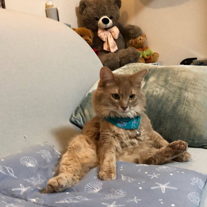 286bd28f ab96 46f6 b127 665b26fc1c3a 1640077280904