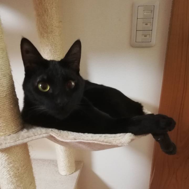 286becc2 471d 4798 a987 148baa8186bd 1672008816651