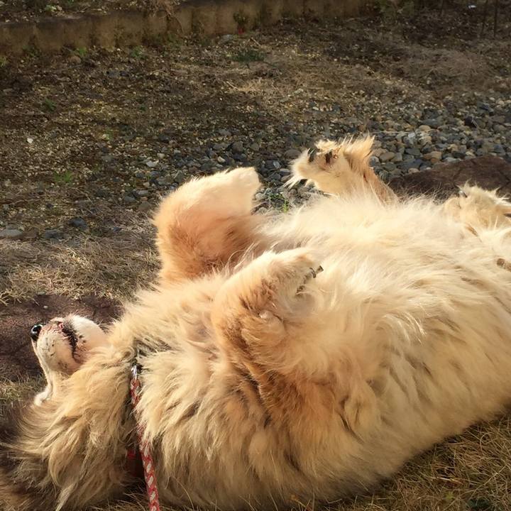 286c188e eca7 432f bae8 82d4e9c55535 1561691529126