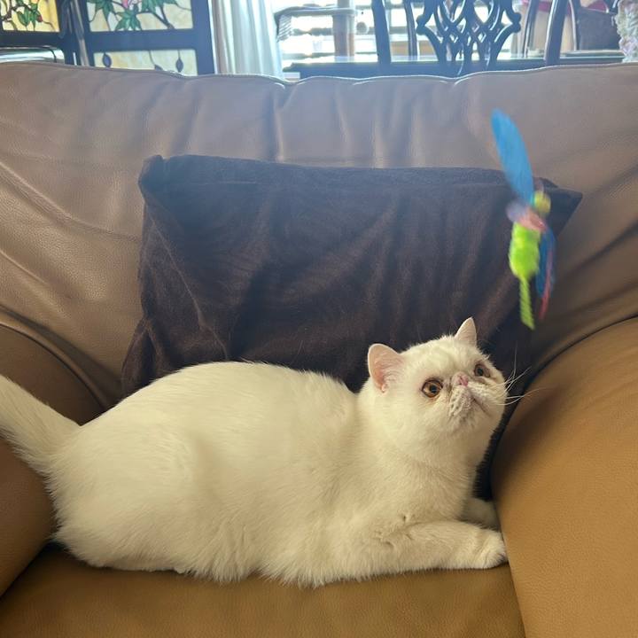 286c2751 3f15 4cbc a668 13ce4cd61b31 1710379956291