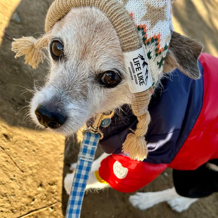 286c782e e291 4611 b38c 8dd2c3124084 1735624803453