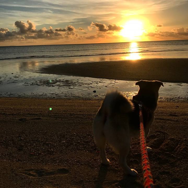 286cba56 e2e0 4453 9060 b78e75ddb08c 1531143238962