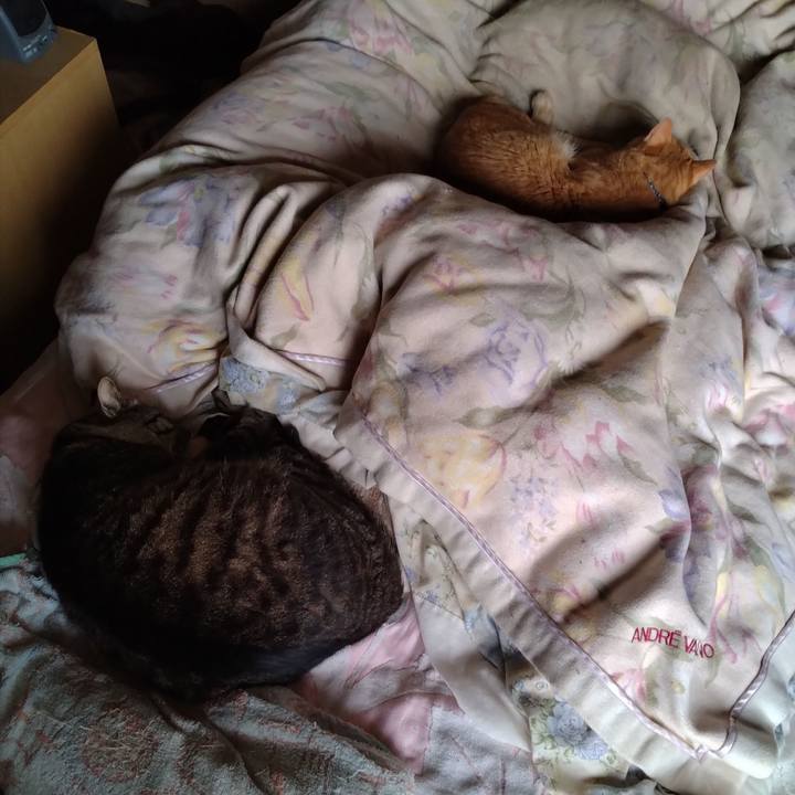 286cdced 4e2a 49e6 9bff f019ee73cbc5 1685336059719