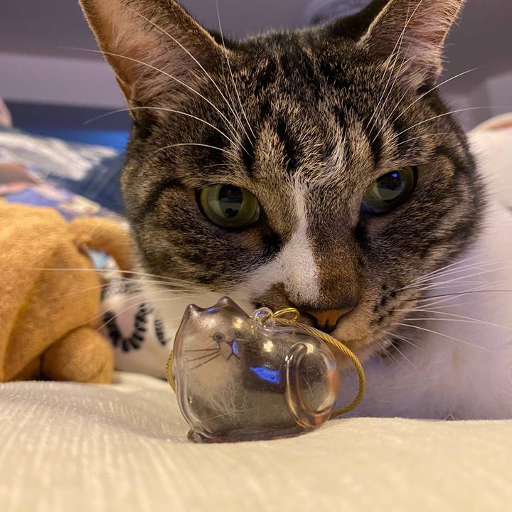 286ce8f5 150f 4090 b3e1 6bb08294d5d7 1752767198100