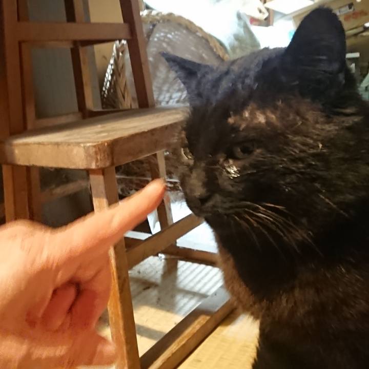 286cf222 b578 4adf 83ee 2f49cea3fe18 1617618971319