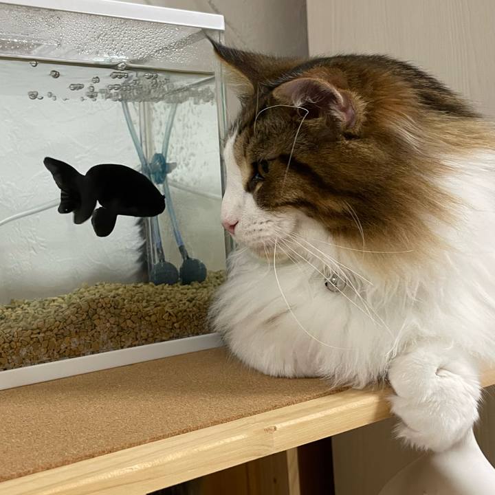 286cff1c 26e1 4818 a813 03e32ab0c74f 1642423593645