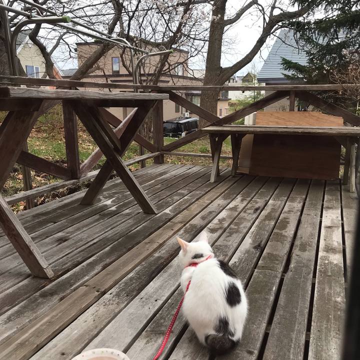 286d05b9 0de3 413f 92ad 04629b94966b 1557622036106