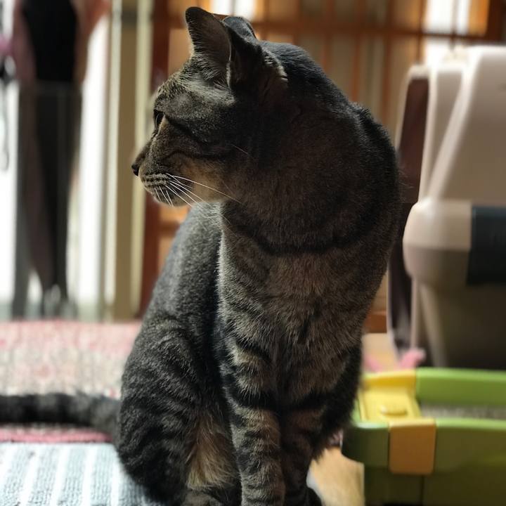 286d258a 8efb 4436 bc89 fb200c77f625 1530147964164