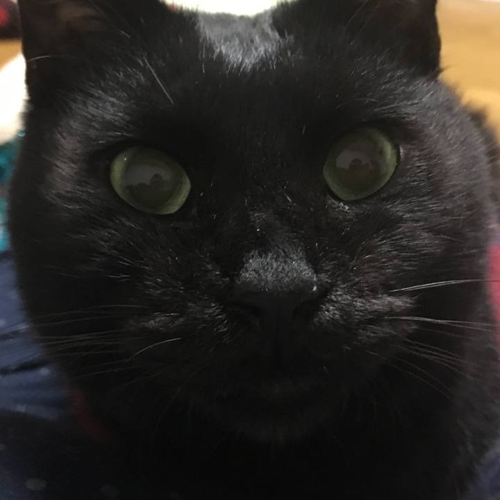 286d573d b09e 44ce bb68 5e720347955e 1542017118783