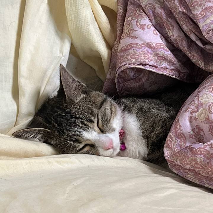 286d591f 8b23 4226 955c 3f06c86cf8ae 1660451543821