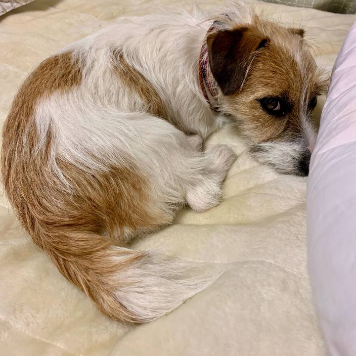 286d816e 49d0 4ab2 8181 6c5f80d23131 1776947979003