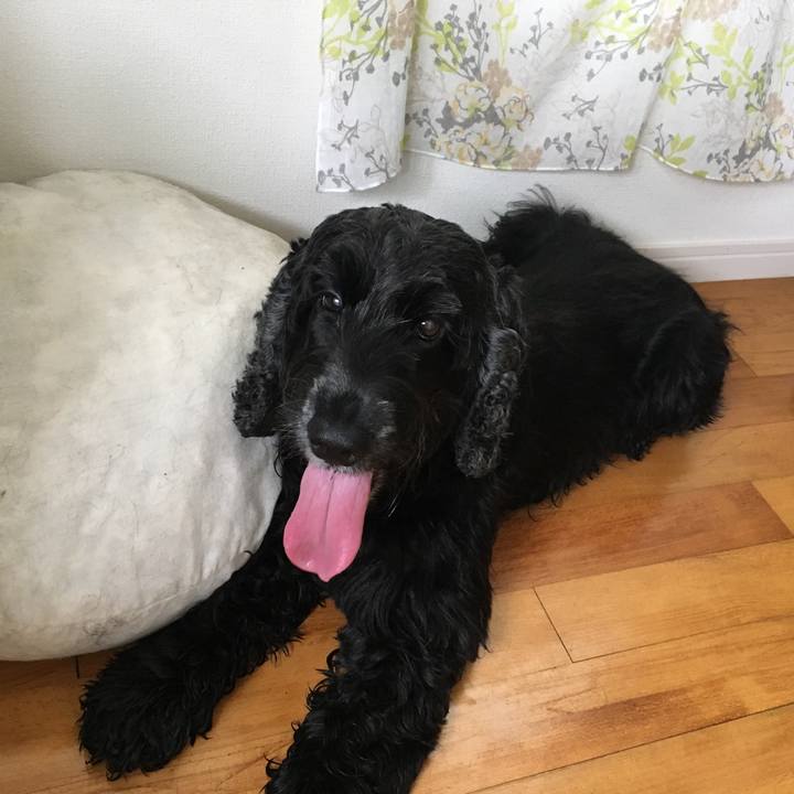 286d9d81 a255 49ca afc6 01c7b844074f 1536058538301