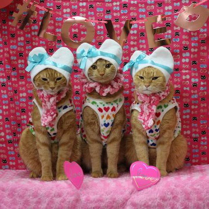 286da838 62f5 4fad a5a4 27ba7ae222b1 1581647654232