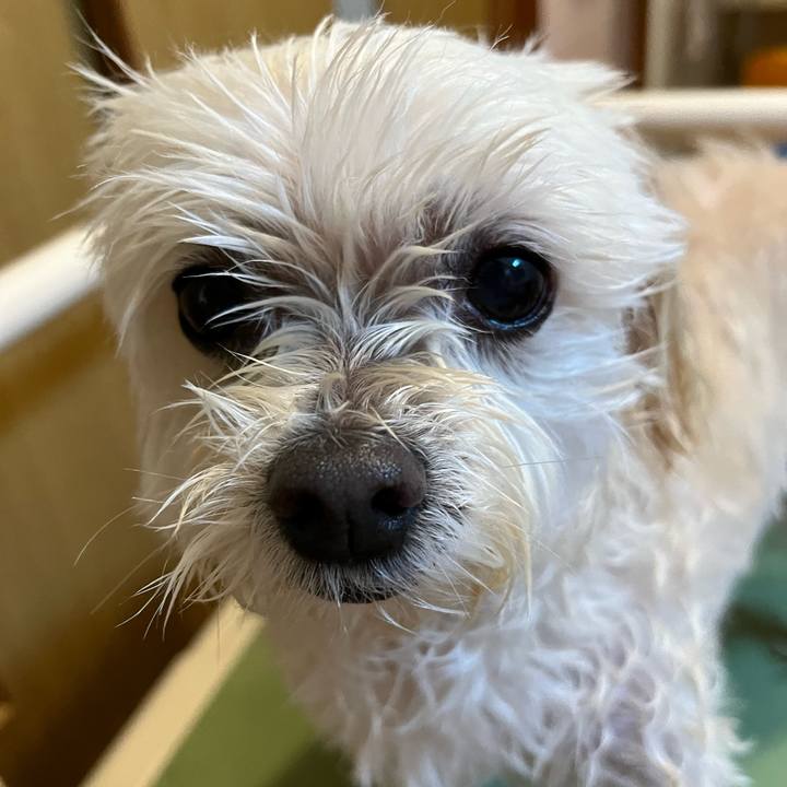 286dd6bd b510 46f4 adbe 0fe969a44d3d 1673252597256