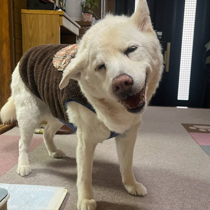 286e0713 9941 4487 b554 bb7bb9894bca 1767917160875