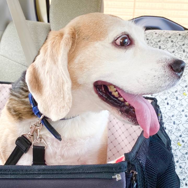 286e1108 670b 4246 ae40 df4bae06638c 1591676813437