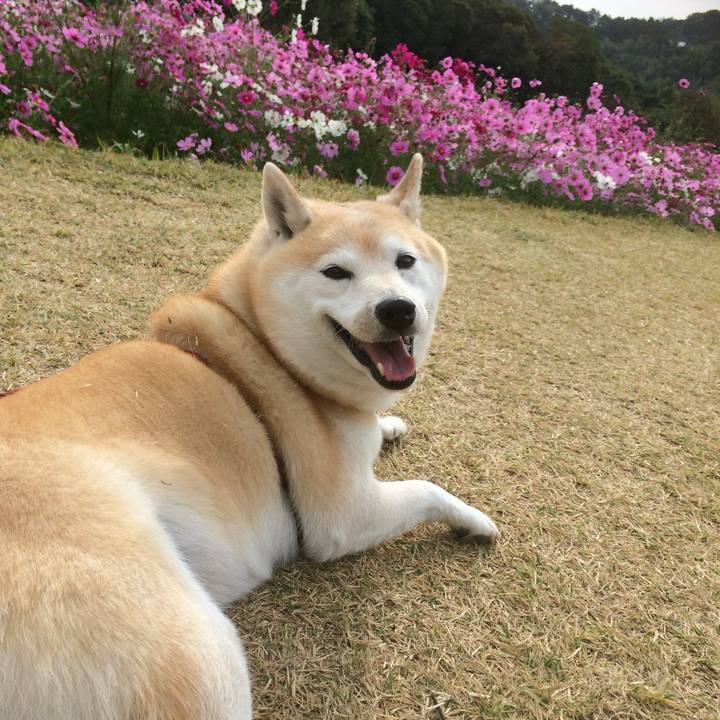 286e3ab8 2fc7 4e94 9bb6 ffde97d43e37 1763911928360